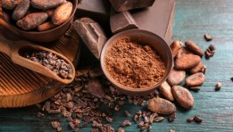 الكاكاو  الكاكاو