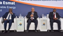 وزير الكهرباء محمود عصمت 