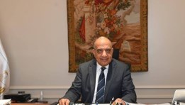 الدكتور محمود عصمت وزير الكهرباء