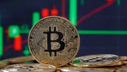البيتكوين  البيتكوين
