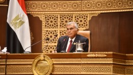 المستشار عصام الدين فريد