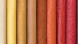 جلود صورة- أرشيفية  جلود صورة- أرشيفية