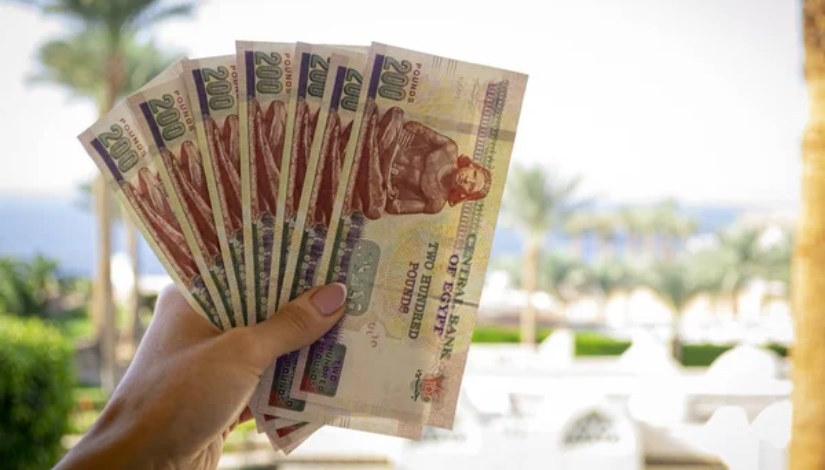 أرباح صناديق الأسهم أرباح صناديق الأسهم