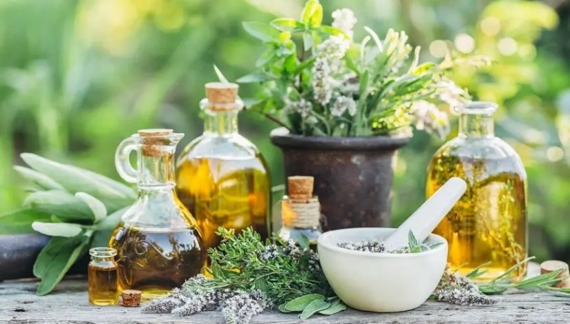 نباتات طبية وعطرية نباتات طبية وعطرية