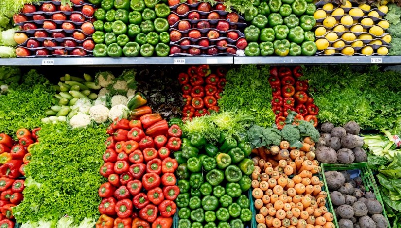 الصادرات المصرية من السلع الزراعية الصادرات المصرية من السلع الزراعية