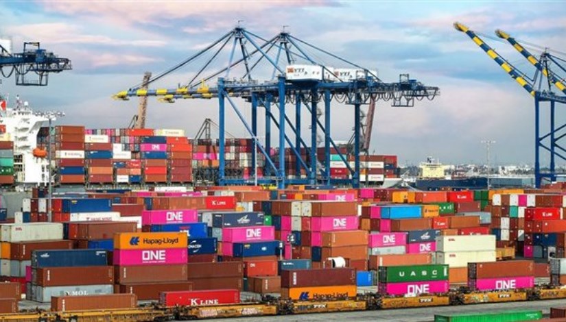 المستوردين المستوردين