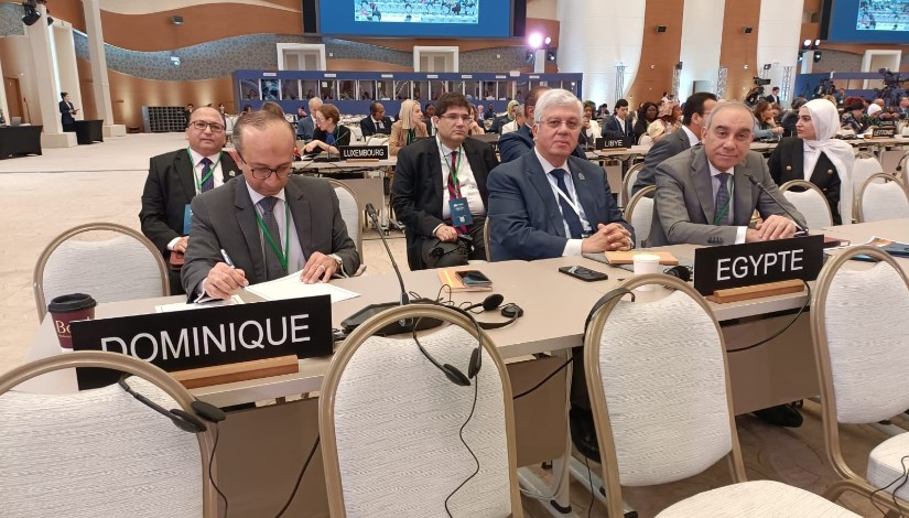 وزير التعليم العالي والبحث العلمي المصري الدكتور أيمن عاشور وزير التعليم العالي والبحث العلمي المصري الدكتور أيمن عاشور