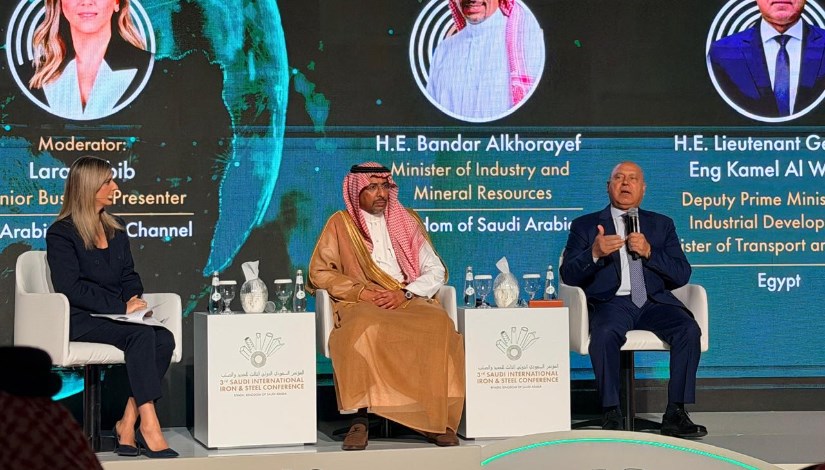 الفريق كامل الوزير الفريق كامل الوزير
