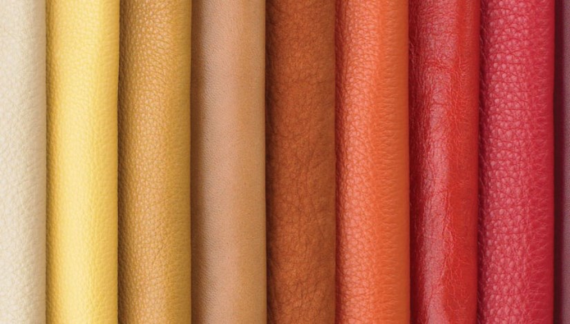 جلود صورة- أرشيفية  جلود صورة- أرشيفية