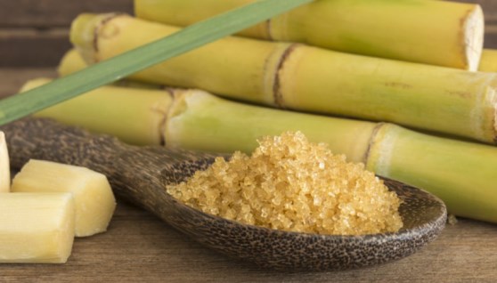 قصب السكر الخام