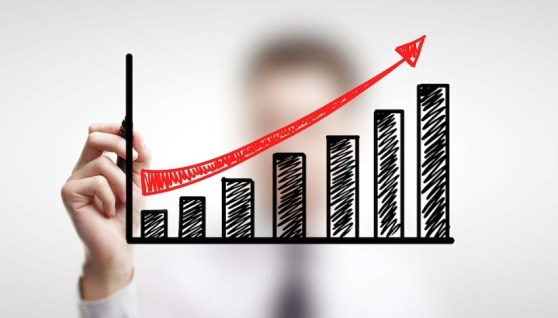 نجاح الشركات