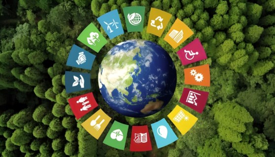 التنمية المستدامة