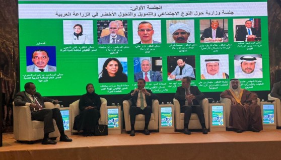 جانب من الحوار الإقليمي