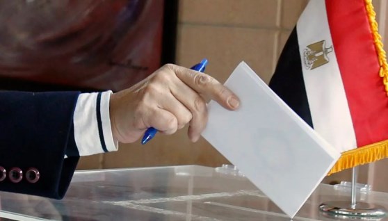 نتيجة انتخابات مجلس النواب- أرشيفية