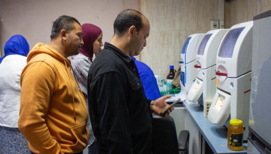 فحص غش عسل النحل