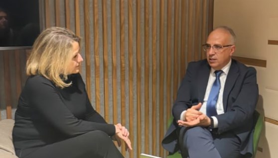 جانب من الفعاليات