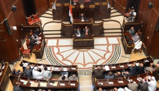  لجنة الطاقة والبيئة والقوى العاملة بمجلس الشيوخ