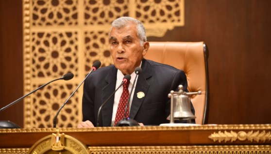 المستشار عصام فريد رئيس مجلس الشيوخ