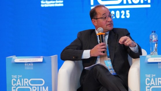 أحمد كجوك وزير المالية