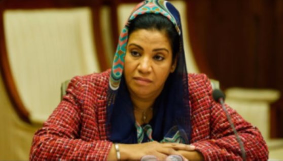 النائبة نشوى الديب