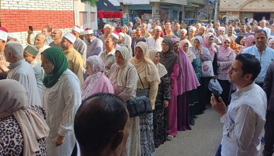 انتخابات مجلس النواب بالبحيرة 2025