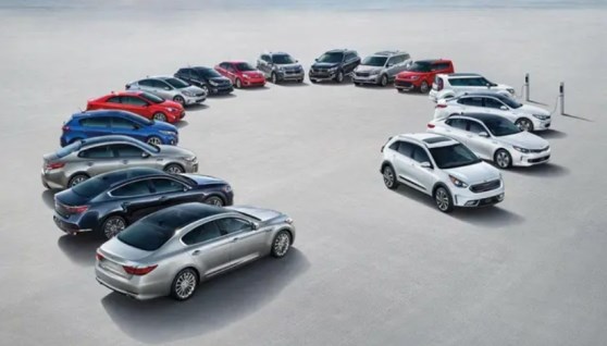 تراخيص السيارات