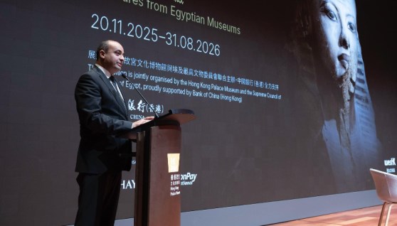 الدكتور محمد إسماعيل خالد الأمين العام للمجلس الأعلى للآثار