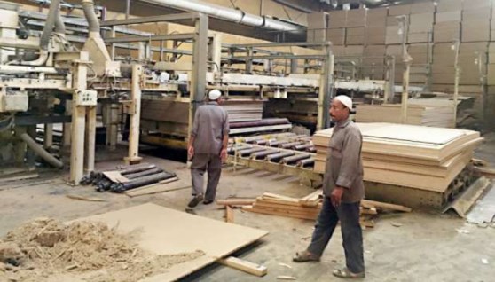 قطاع الأخشاب