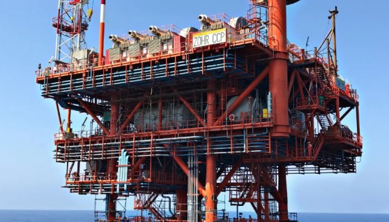 حقل ظهر- أرشيفية 