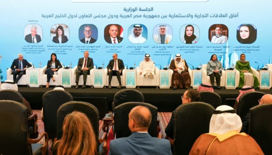 وزير البترول 