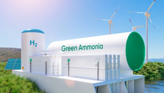 مشروعات خضراء- أرشيفية