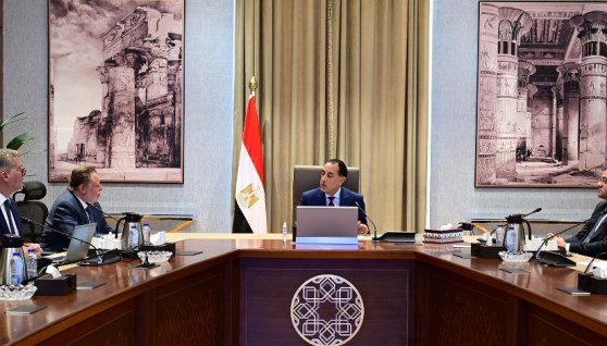 جانب من اجتماع رئيس الوزراء مع وزير البترول