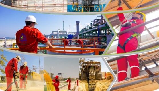 وظائف بترول في مصر 2025