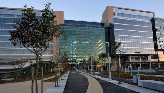 ستاندرد بنك