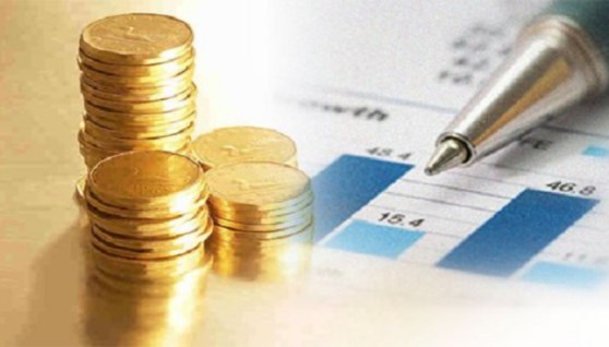 الاستثمار في شهادات الادخار 