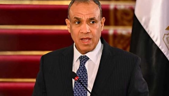  الدكتور بدر عبدالعاطي، وزير الخارجية والهجرة