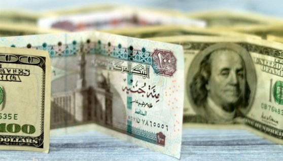 سعر الدولار اليوم 