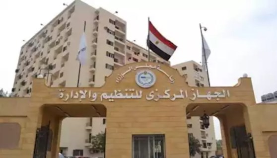 التنظيم والإدارة 