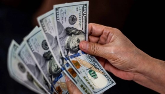 سعر الدولار 