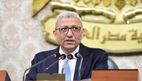  المستشار أحمد سعد