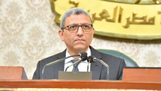  المستشار أحمد سعد الدين