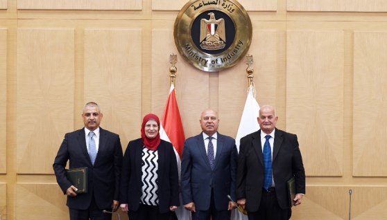  نائب رئيس مجلس الوزراء كامل الوزير