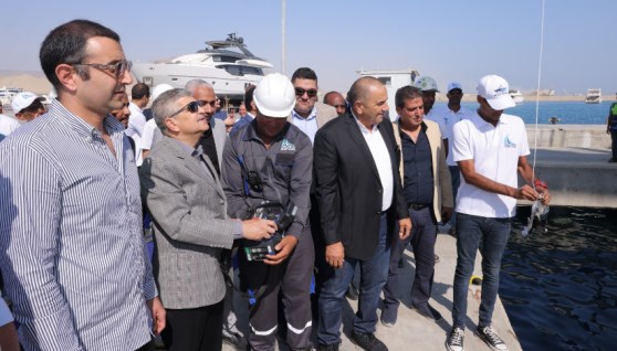 الفريق أسامة ربيع رئيس هيئة قناة السويس