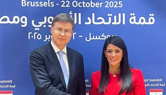 الدكتورة رانيا المشاط 