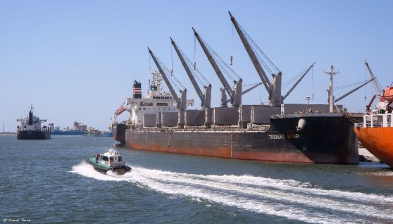 هيئة ميناء دمياط