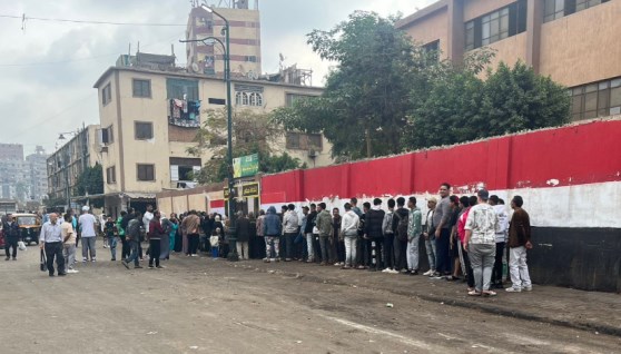  مدرسة شجرة مريم الابتدائية المشتركة بالمطرية