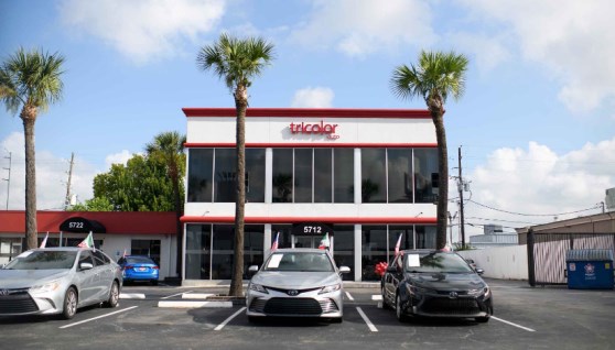 شركة تراي كولور Tricolor Holdings