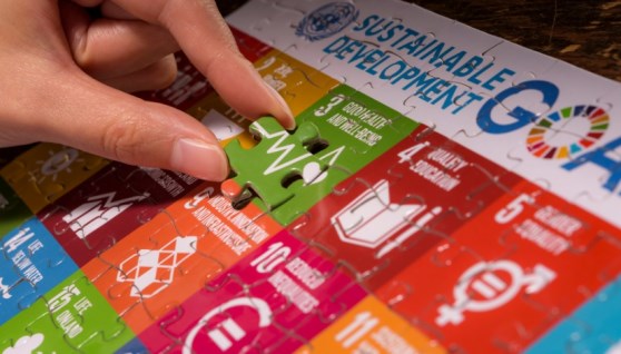 حلول التنمية المستدامة