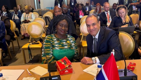 وزير الخارجية يلتقي نائبة رئيس جمهورية غانا لبحث تعزيز العلاقات الثنائية والتعاون المشترك