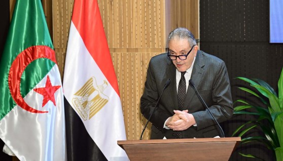 أحمد الوكيل، رئيس الاتحاد العام للغرف التجارية المصرية